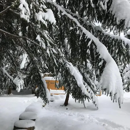 Котедж Гута Holiday home