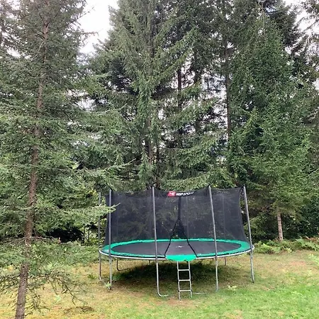 Котедж Гута Holiday home *