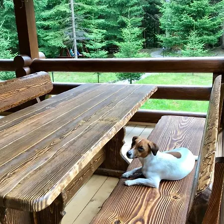 Котедж Гута Holiday home *