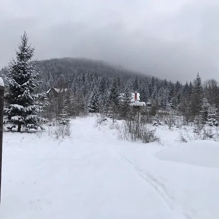 Holiday home Котедж Гута